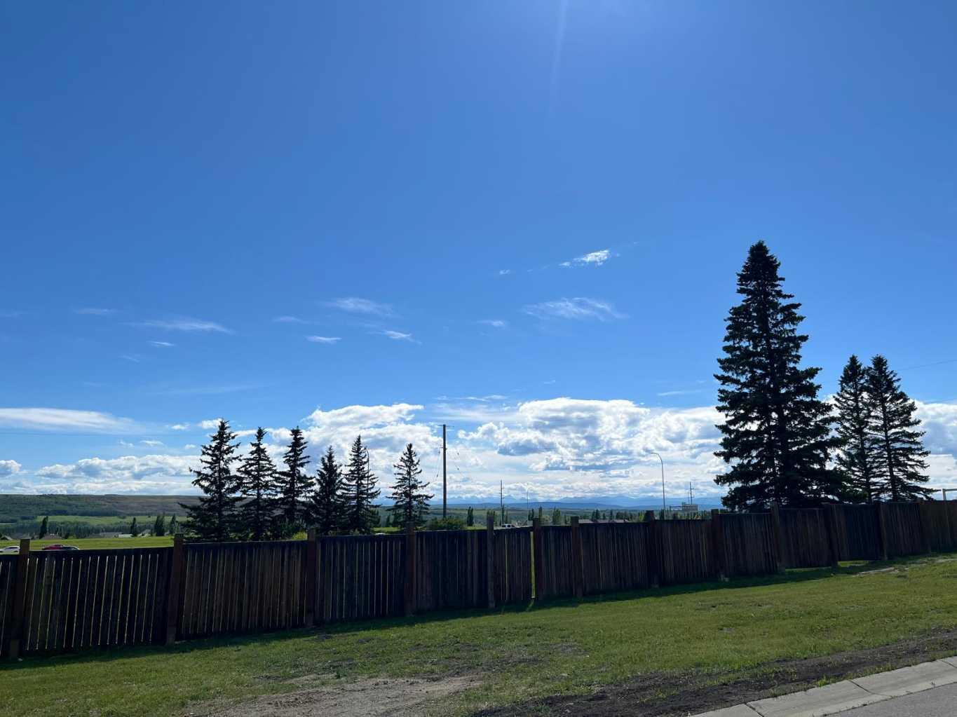 12, 3622 85 Street SW photo 3