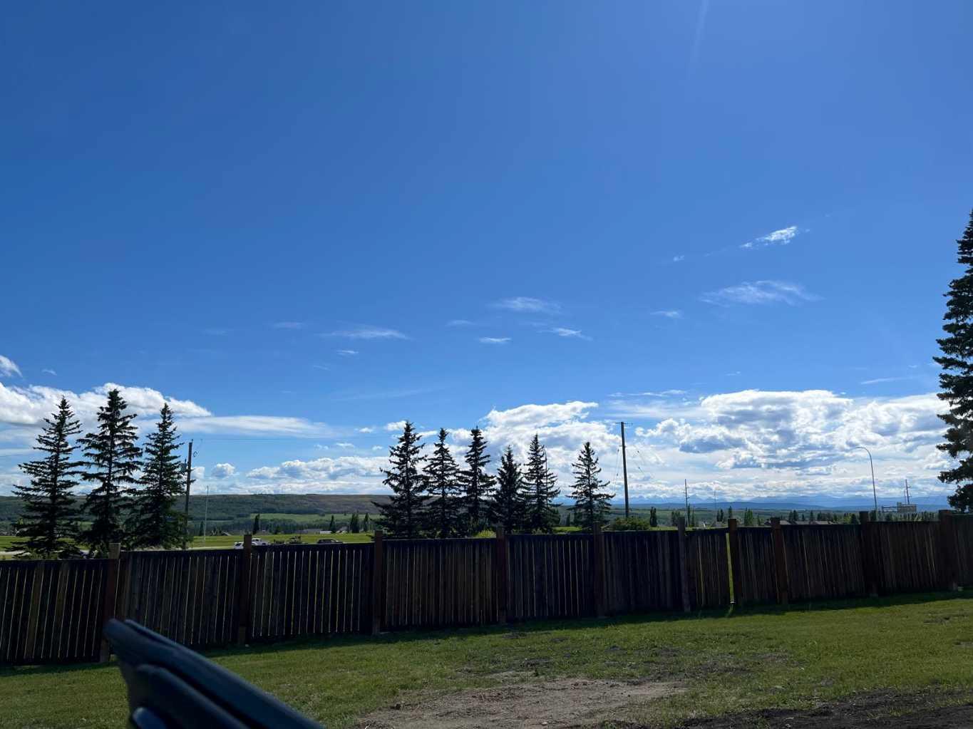 12, 3622 85 Street SW photo 4