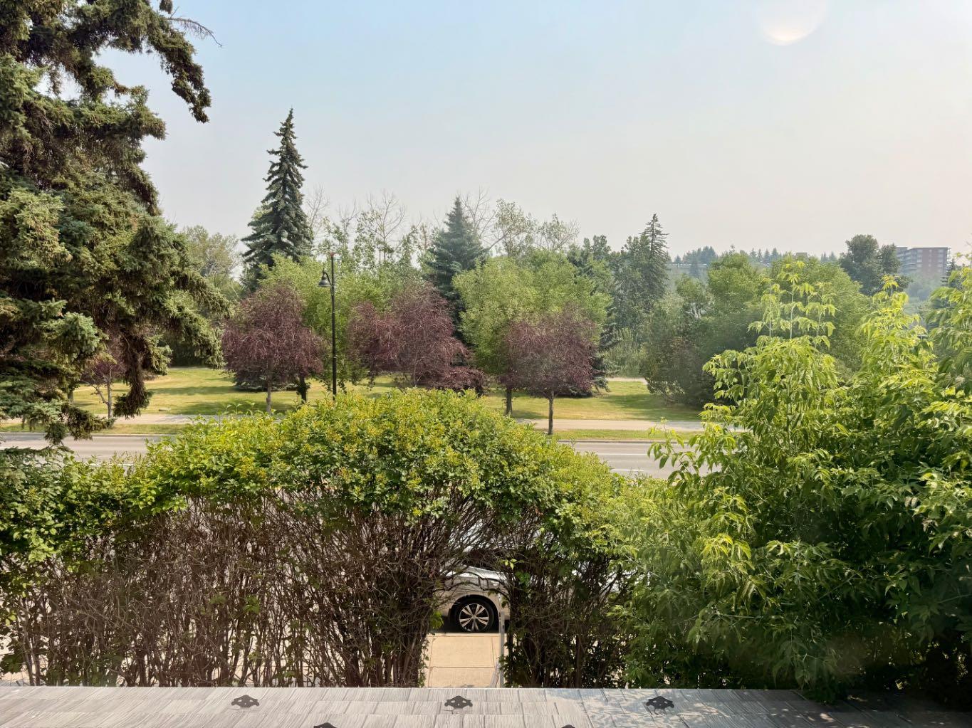 3217 Elbow Drive SW photo 3