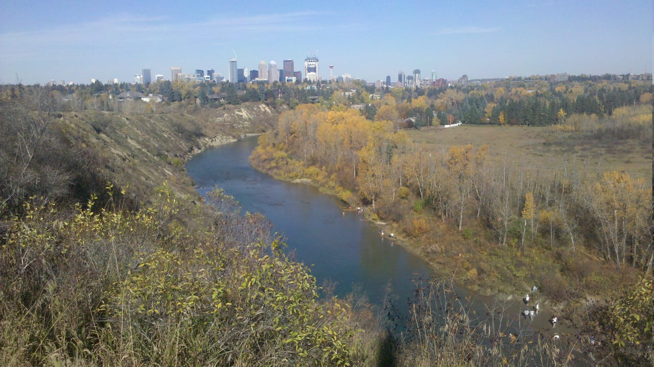 Elbow Park