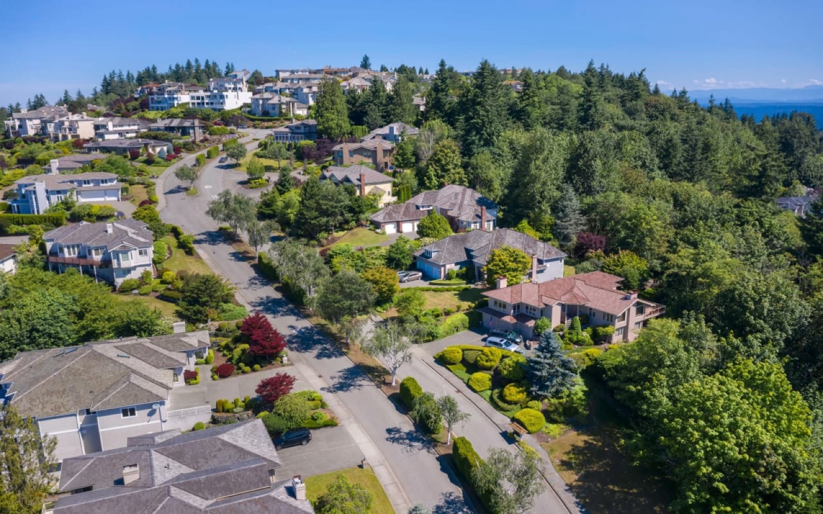 Established residential street of well-kept family homes